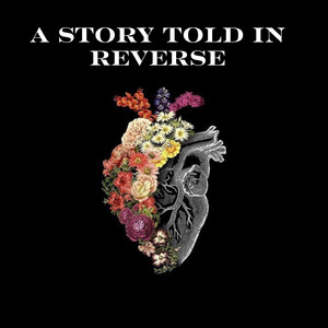 Astra Rogue - A Story Told in Reverse
