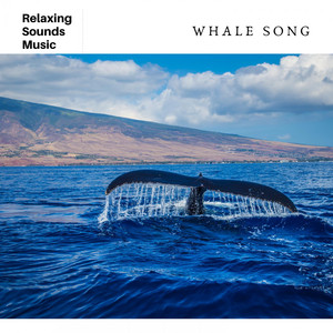 Whale Song for Sleep album