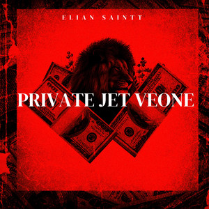 Private Jet Veone by Elian Saintt