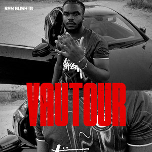 Roybush10 - Vautour