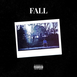 Portada de Fall
