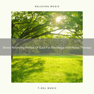 Stress Relieving Noises Of Gaia For Recharge And Noise Therapy album