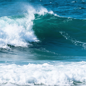 Whitney Kyoshia Burgess - Fuerza Ola