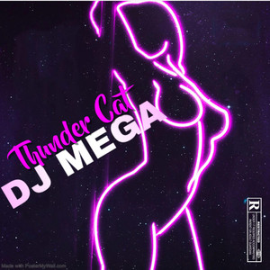 Imagen de DJ Mega