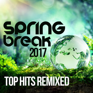 Shape of You - Ar Remix