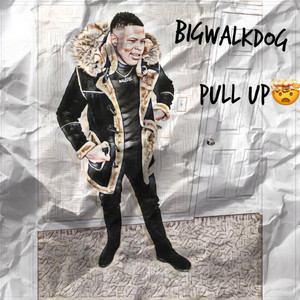 Pull Up by BigWalkDog