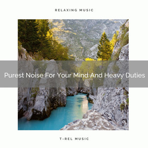 Purest Noise For Your Mind And Heavy Duties album