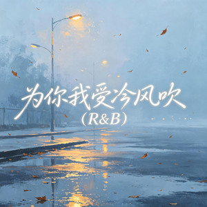 为你我受冷风吹（R&B） by 大头针R&B
