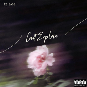 Can't Explain by 12 Gage