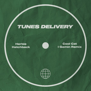 Cool Cat - I Gemin Remix by Herbie Hatchback, I Gemin