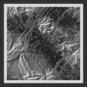 Ital Tek — The Ice Is Thin (2026)