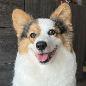 staywithnoppo - noppo mum mum