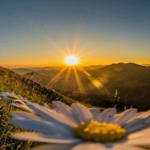 Not to Give up by Little Mary