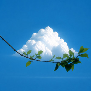 바람의 층 (Layers of Wind) by Flow Trigger.