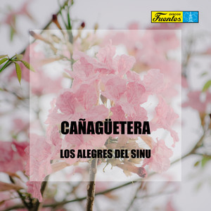 Los Alegres del Sinú