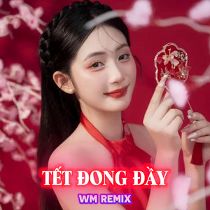 WM Media & Hoài Phan - Tết Đong Đầy (Remix)