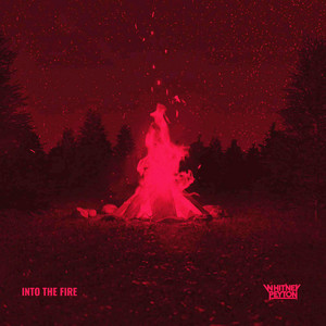 Portada de Into The Fire