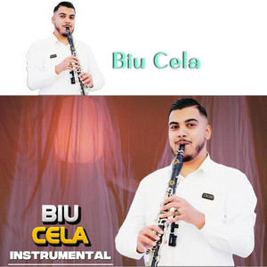 prod deiym 51 - orkestrale 2026 BIU CELA