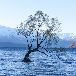 The Wind Blows by Michael Dunstan