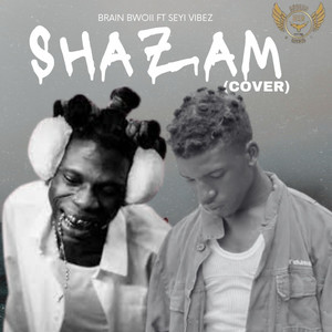 Shazam - Remix Cover