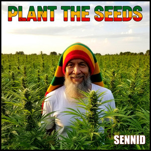 PLANT THE SEEDS by SENNID