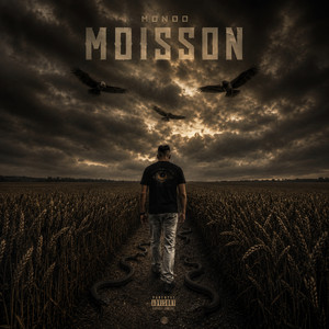 MOISSON by MONOO