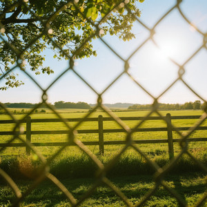 Across The Fence by YENDI ARYADI NUGRAHA