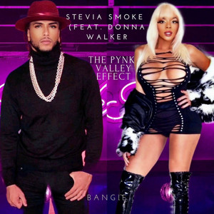 The PYNK VALLEY EFFECT BANGIE (feat. DONNA WALKER)