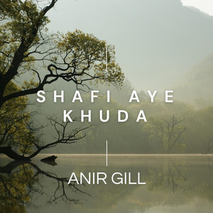 Anir Gill - TU HI TO MERA SHAFI