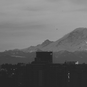 lee by aristomenes the turtle