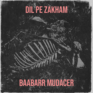 Dil Pe Zakham by Baabarr Mudacer