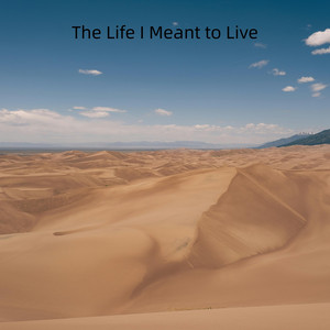 The Life I Meant to Live by Peter Michel