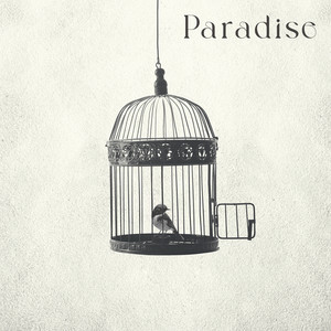 Paradise by あみゅり
