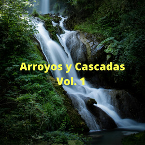 Arroyos y Cascadas Vol. 1 album