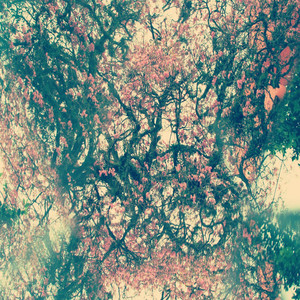 Staring Into Spaces (IV)