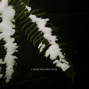 Under the Soft Snow by Roland Ledell