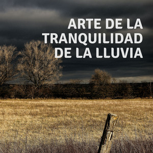 Arte De La Tranquilidad De La Lluvia album
