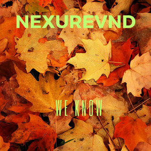 We Know by nexurevnd