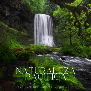 Naturaleza Pacífica: Ambiente Del Agua Fluyendo Vol. 1 album