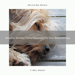 Relaxing Weather Tunes Especially For Your Beloved Dogs album