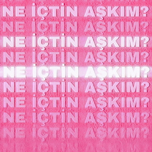 NE İÇTİN AŞKIM?