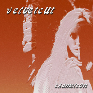 洋楽 Chameleon Cry / Roberta VanderVoort The Great Chameleon - Album by Velvetcut | Spotify