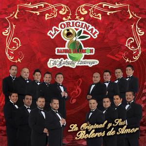 La Original y Sus Boleros de Amor album