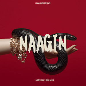 Naagin by Hammy Muzic, Music Nasha