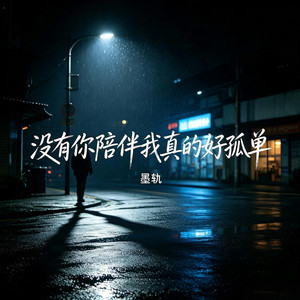 没有你陪伴我真的好孤单（R&B版） by 墨轨