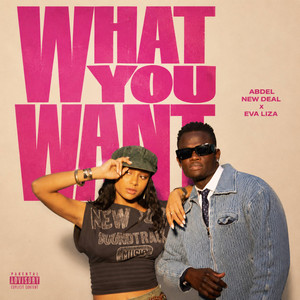 What You Want by Abdel New Deal, Eva Liza