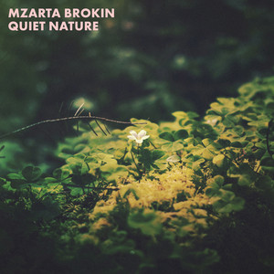 Quiet Nature by Mzarta Brokin