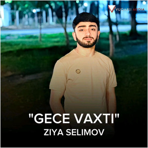 Ziya Səlimov - Getdiler