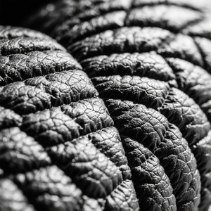 D.WINHS - เข้าใจหัวใจดวงนี้