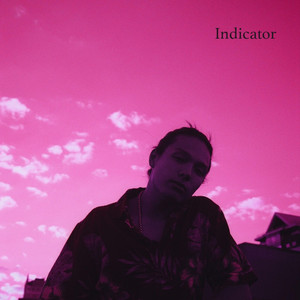 Indicator